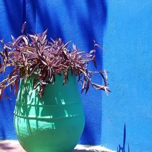 Explore Chefchaouen and North, Private tour for 7 days with Destination Services Morocco and discover unforgettable experiences - Photo 10