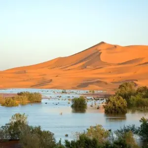 Explore Imperial Cities of Morocco, Spanish-speaking guide for 8 days with Destination Services Morocco and discover unforgettable experiences - Photo 7
