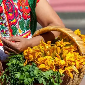 Explore A Taste of Mexico City, City Break for 5 days with Destination Services Mexico and discover unforgettable experiences - Photo 8