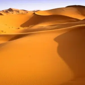 Explore Atlas Mountains - Tracks of the Nomads, Spanish-speaking guide for 8 days with Destination Services Morocco and discover unforgettable experiences - Photo 9