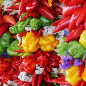 Explore A Taste of Mexico City, City Break for 5 days with Destination Services Mexico and discover unforgettable experiences - Photo 10