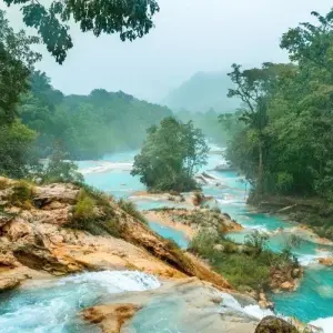 Explore Chiapas Explorer for 6 days with Destination Services Mexico and discover unforgettable experiences - Photo 7