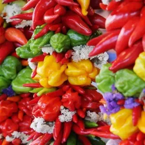 Explore Magic Chiapas for 4 days with Destination Services Mexico and discover unforgettable experiences - Photo 10