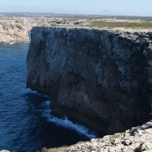 Explore South of Portugal for 4 days with Destination Services Portugal and discover unforgettable experiences - Photo 5