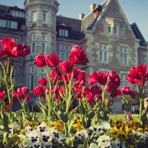 Explore Bilbao and Santander, Self-drive for 6 days with Destination Services Spain and discover unforgettable experiences - Photo 5