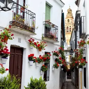 Explore Must of Andalusia, Self-drive for 6 days with Destination Services Spain and discover unforgettable experiences - Photo 10