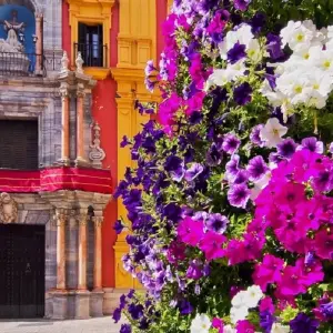 Explore Andalusian Feelings for 8 days with Destination Services Spain and discover unforgettable experiences - Photo 3