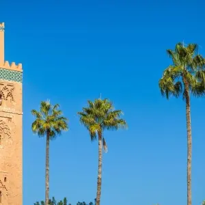 Explore Portugal, Andalusia and Morocco (Multi country) for 18 days with Destination Services Spain and discover unforgettable experiences - Photo 6