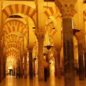 Explore Andalusia & Morocco (Multi country) for 12 days with Destination Services Spain and discover unforgettable experiences - Photo 7