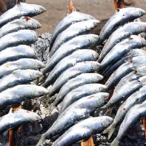 Explore Andalusian Feelings for 8 days with Destination Services Spain and discover unforgettable experiences - Photo 9