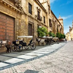Explore Andalusian Feelings for 8 days with Destination Services Spain and discover unforgettable experiences - Photo 10