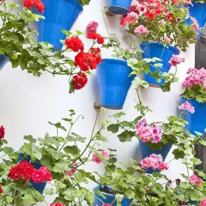 Explore Andalusian Feelings for 8 days with Destination Services Spain and discover unforgettable experiences - Photo 11