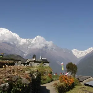 Explore Poon hill Trek 5 Days for 5 days with Destination Unlimited Treks and Expeditions Pvt Ltd and discover unforgettable experiences - Photo 3