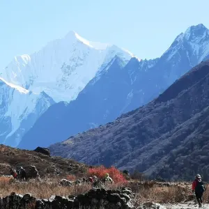 Explore Ideal Langtang Valley Trekking for 9 days with Destination Unlimited Treks and Expeditions Pvt Ltd and discover unforgettable experiences - Photo 2