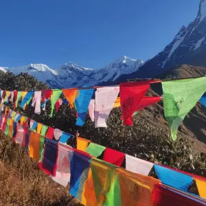 Explore Mardi Himal Adventure Trek 7 days for 7 days with Destination Unlimited Treks and Expeditions Pvt Ltd and discover unforgettable experiences - Photo 3