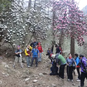 Explore Ideal Langtang Valley Trekking for 9 days with Destination Unlimited Treks and Expeditions Pvt Ltd and discover unforgettable experiences - Photo 7