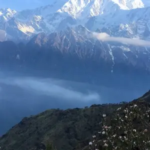 Explore Mardi Himal Adventure Trek 7 days for 7 days with Destination Unlimited Treks and Expeditions Pvt Ltd and discover unforgettable experiences - Photo 8