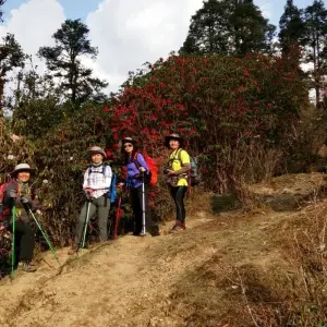 Explore Ideal Langtang Valley Trekking for 9 days with Destination Unlimited Treks and Expeditions Pvt Ltd and discover unforgettable experiences - Photo 8