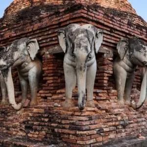 Explore Experience Thailand 6 Days, Small Group Tour (Other Languages) for 6 days with Destination Services Thailand and discover unforgettable experiences - Photo 8