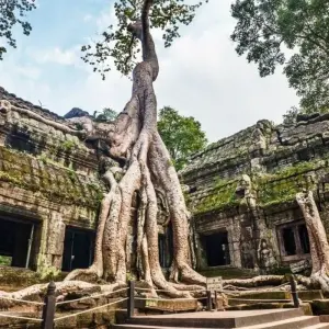 Explore Cambodia Free & Easy Package, Private Tour for 4 days with Destination Services Thailand and discover unforgettable experiences - Photo 4