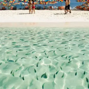 Explore Phuket Beach Package for 4 days with Destination Services Thailand and discover unforgettable experiences - Photo 7