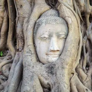 Explore Thailand Grand Tour & Cambodia Package, Private tour (Multi country) for 13 days with Destination Services Thailand and discover unforgettable experiences - Photo 7