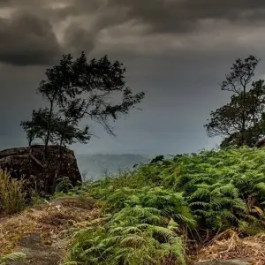 Explore North Isaan and the Mekong, Private Tour for 4 days with Destination Services Thailand and discover unforgettable experiences - Photo 2
