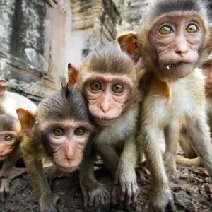 Explore Bangkok and Ancient Capitals, Private Tour for 8 days with Destination Services Thailand and discover unforgettable experiences - Photo 3