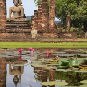 Explore Treasures of Thailand 8 Days - Chiang Mai to South, Private Tour for 8 days with Destination Services Thailand and discover unforgettable experiences - Photo 3