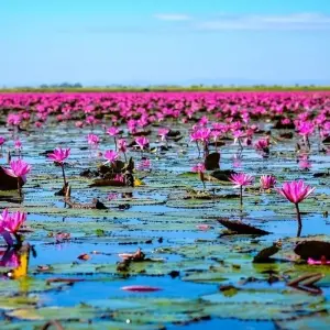 Explore North Isaan and the Mekong, Private Tour for 4 days with Destination Services Thailand and discover unforgettable experiences - Photo 5