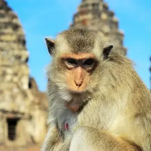 Explore North Isaan and the Mekong, Private Tour for 4 days with Destination Services Thailand and discover unforgettable experiences - Photo 6