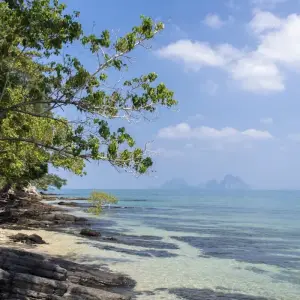 Explore Andaman to Gulf, Small Group Tour for 6 days with Destination Services Thailand and discover unforgettable experiences - Photo 4