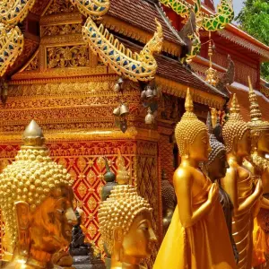 Explore Treasures of Thailand 8 Days - Chiang Mai to South, Small Group Tour (English Only) for 8 days with Destination Services Thailand and discover unforgettable experiences - Photo 4