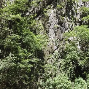 Explore Andaman to Gulf, Small Group Tour for 6 days with Destination Services Thailand and discover unforgettable experiences - Photo 8