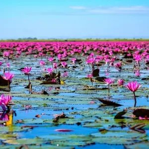 Explore North Isaan and the Mekong, Small Group Tour for 4 days with Destination Services Thailand and discover unforgettable experiences - Photo 9