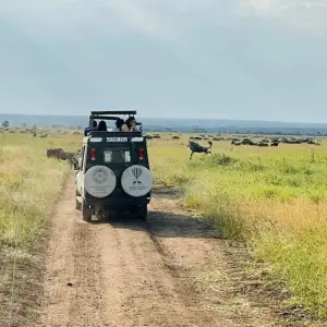 Explore Experience Kenya Masai Mara Big 5 Safari for 7 days with Devine African Safaris Ltd and discover unforgettable experiences - Photo 4