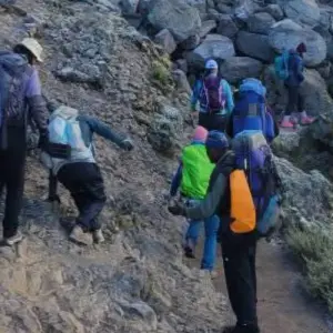 Explore Climb Kilimanjaro - Machame Route 7 days for 9 days with Devine African Safaris Ltd and discover unforgettable experiences - Photo 3