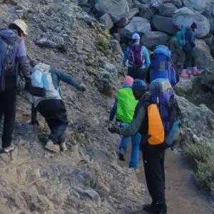 Explore Climb Kilimanjaro - Lemosho Route 7 Day Daily Departures for 9 days with Devine African Safaris Ltd and discover unforgettable experiences - Photo 3