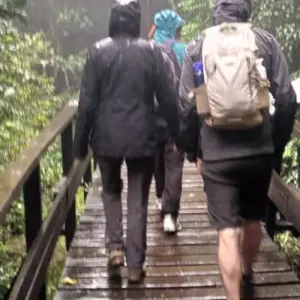 Explore Climb Kilimanjaro - Lemosho Route 7 Day Daily Departures for 9 days with Devine African Safaris Ltd and discover unforgettable experiences - Photo 4