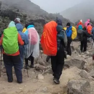 Explore Climb Kilimanjaro - Machame Route 7 days for 9 days with Devine African Safaris Ltd and discover unforgettable experiences - Photo 6