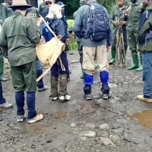 Explore Expereince Rwanda Gorillas, Golden Monkeys & Chimps Tour (Exclusively Private) for 5 days with Devine African Safaris Ltd and discover unforgettable experiences - Photo 6