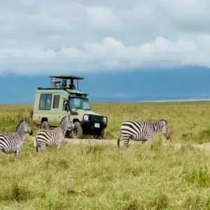 Explore Experience Uganda Gorilla Trekking and Tanzania Migration Safari for 9 days with Devine African Safaris Ltd and discover unforgettable experiences - Photo 7