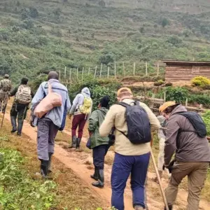 Explore Expereince Rwanda Gorillas, Golden Monkeys & Chimps Tour (Exclusively Private) for 5 days with Devine African Safaris Ltd and discover unforgettable experiences - Photo 7