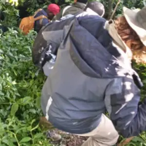 Explore Experience Uganda Gorillas, Chimps & Kenya Great Migration Safari for 11 days with Devine African Safaris Ltd and discover unforgettable experiences - Photo 8