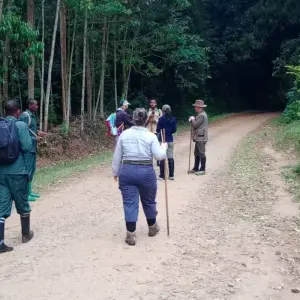 Explore Expereince Rwanda Gorillas, Golden Monkeys & Chimps Tour (Exclusively Private) for 5 days with Devine African Safaris Ltd and discover unforgettable experiences - Photo 10