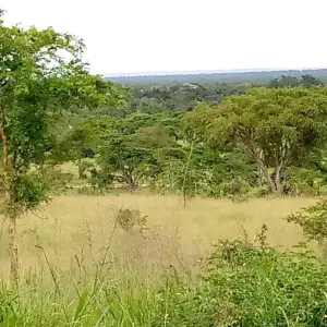 Explore Explore Uganda Queen Elizabeth Np & Lake Mburo NP (Exclusively Private) for 5 days with Devine African Safaris Ltd and discover unforgettable experiences - Photo 7