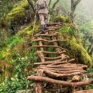 Explore Eperience Rwanda Gorilla Trekking, Mt. Bisoke Hiking (Exclusively Private) for 4 days with Devine African Safaris Ltd and discover unforgettable experiences - Photo 6