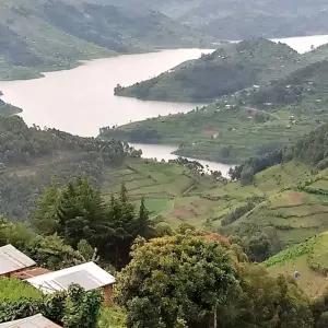 Explore Experience Uganda Gorilla trekking & Lake Bunyonyi (Exclusively Private) for 3 days with Devine African Safaris Ltd and discover unforgettable experiences - Photo 4