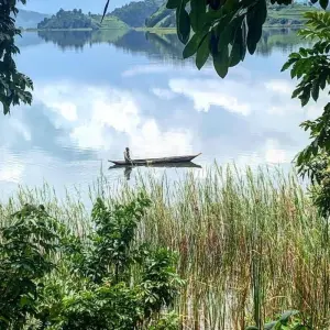 Explore Experience Uganda Gorillaa, Lake Mburo National Park & Lake Bunyonyi (Exclusively Private) for 4 days with Devine African Safaris Ltd and discover unforgettable experiences - Photo 6