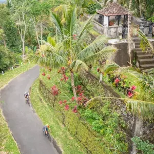 Explore 13 Days Java, Bali and Lombok Tour for 13 days with Discova and discover unforgettable experiences - Photo 2